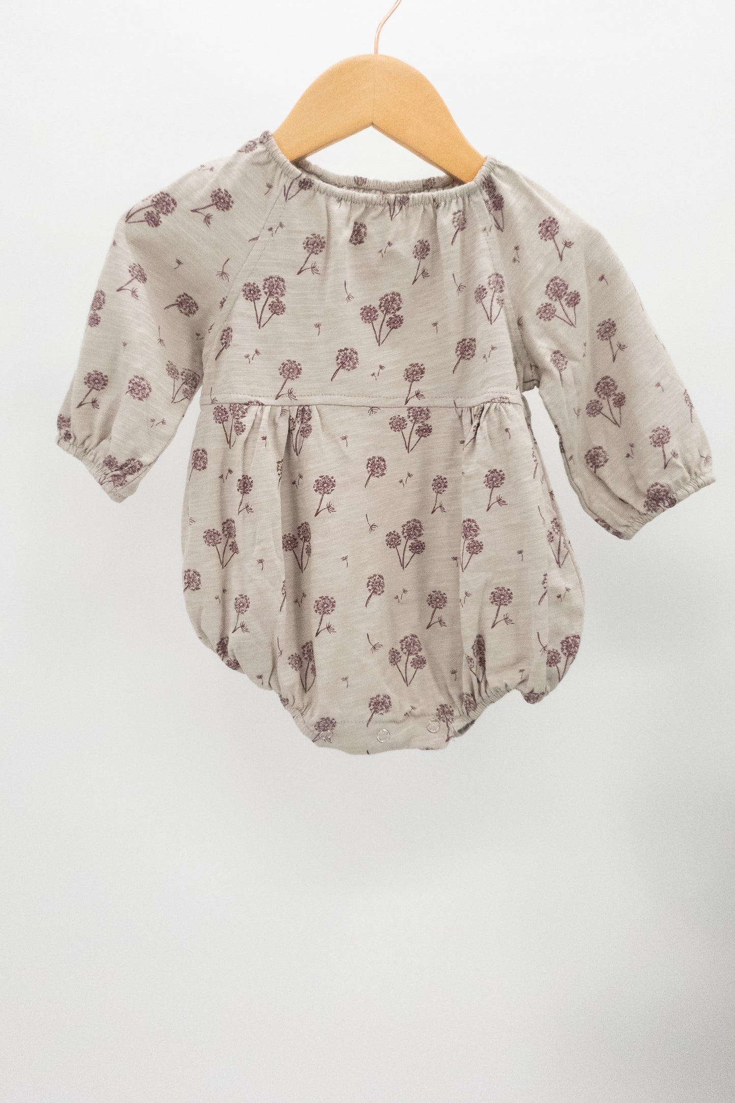 Daisy Bubble in Dandelion