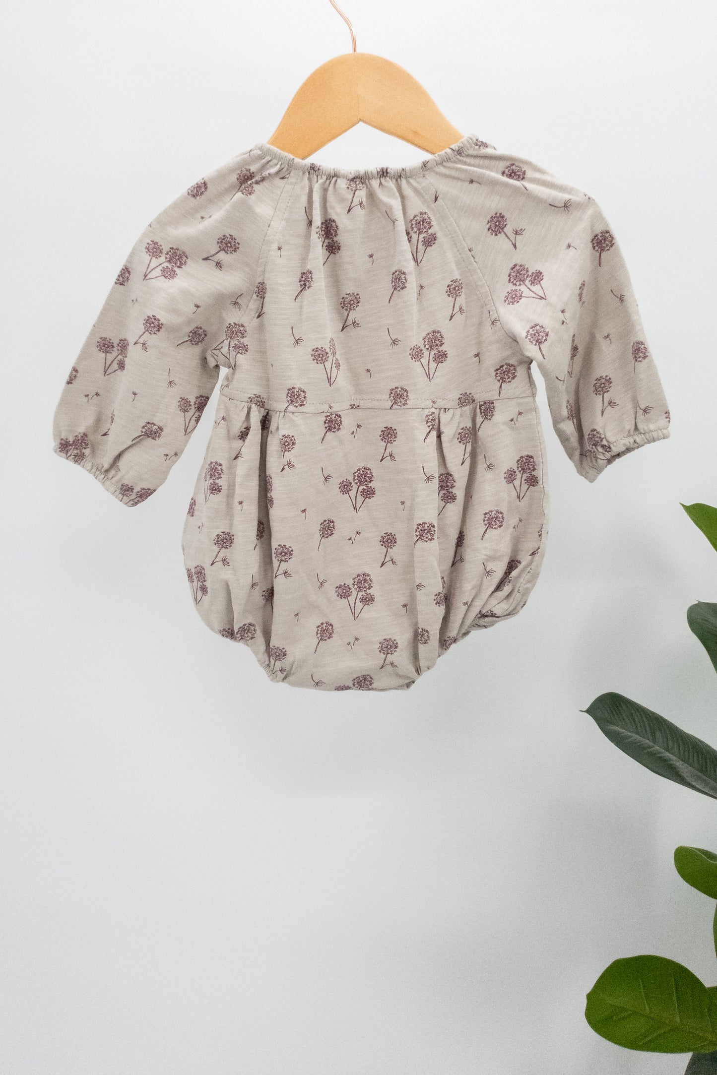 Daisy Bubble in Dandelion